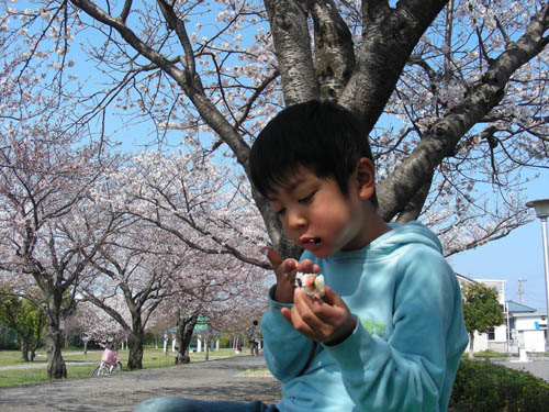 08032604ohiru