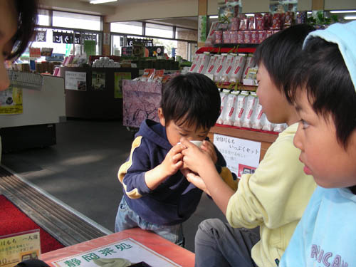 08032608ocha