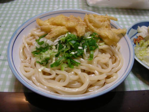 100528udon