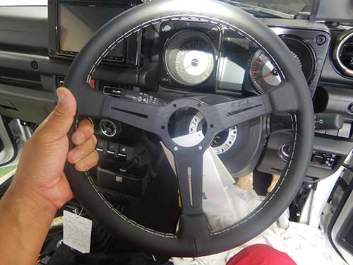 25073103naldi